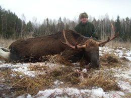 Treibjagd 2009 | Р“РЈРџ В«РЈР”РњРЈР РўРћРҐРћРўРђВ» - РѕС…РѕС‚Р° РЅР° РєР°Р±Р°РЅР°, Р»РѕСЃСЏ, РјРµРґРІРµРґСЏ РІ РЈРґРјСѓСЂС‚СЃРєРѕР№ СЂРµСЃРїСѓР±Р»РёРєРµ.