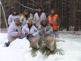 Wolf hunting