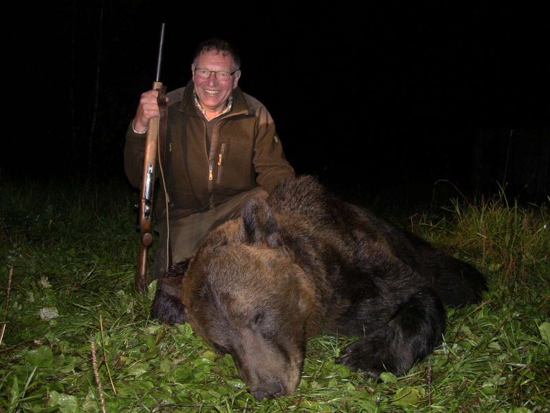 Bear