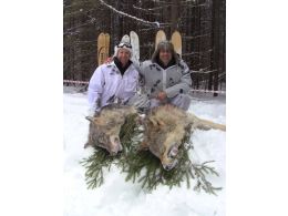 Wolfsjagd 2019