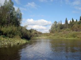 Hunting area "Nema", 39 Thousand hectare
