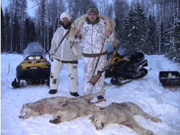 Wolfsjagd, Februar 2020