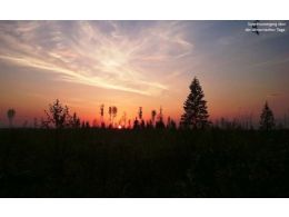 Neuer Artikel "Going East" über die Rufjagd in Udmurtien