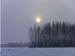 Загонная охота - 2012